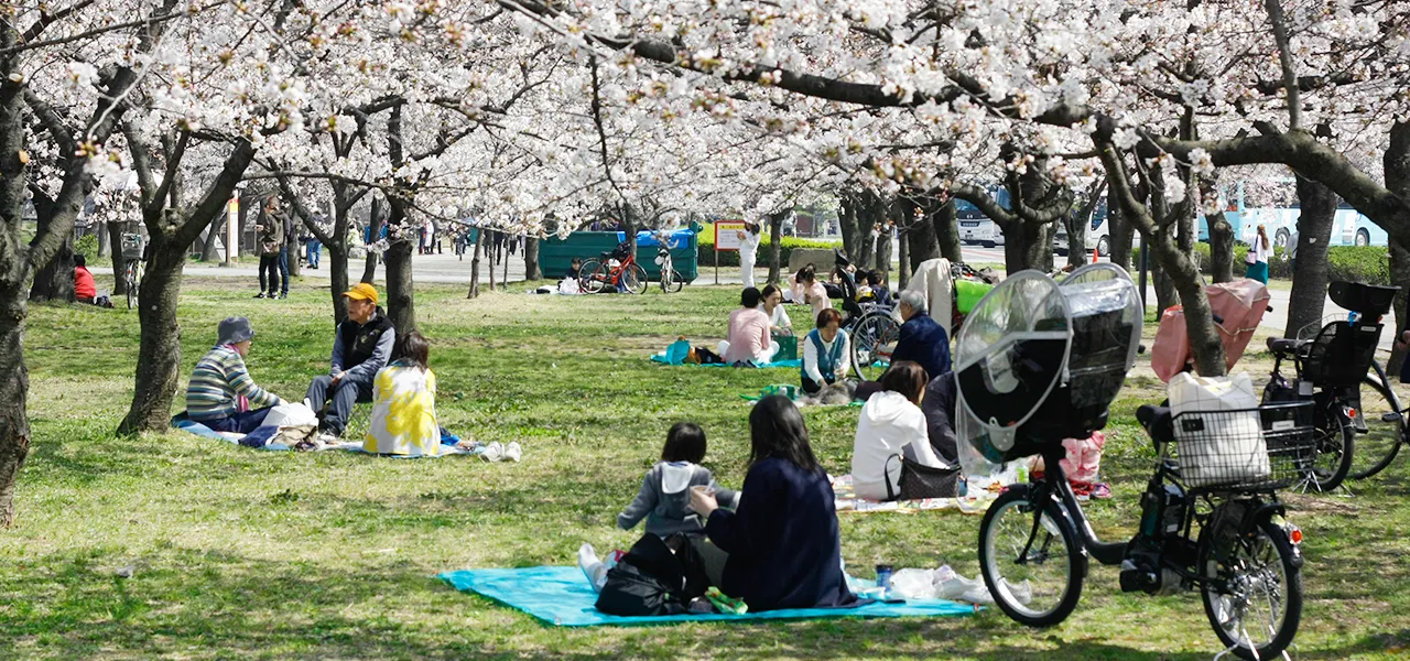 Viaje a Japón en primavera