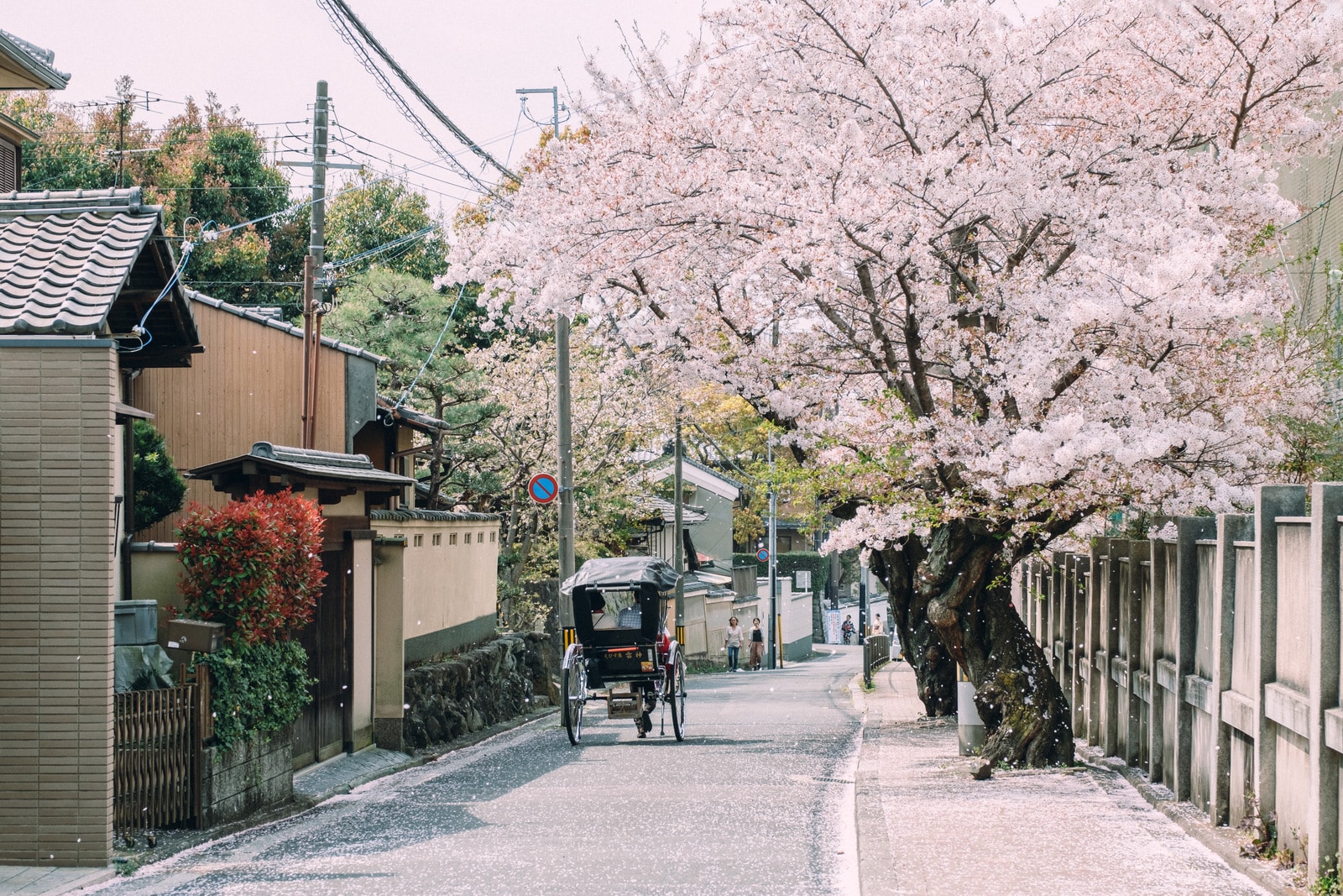 Luna de miel por Japón: Experiencia mágica y romántica